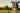 Agriculture : le point sur les mesures d’aide