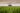 FranceAgriMer et organisations de producteurs : des sanctions possibles ?